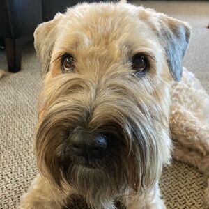 Meet your Posher, Paula